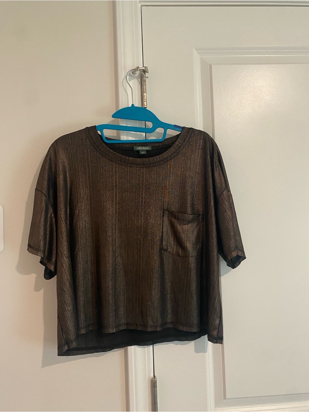 wild fable Brown Shimmer top
